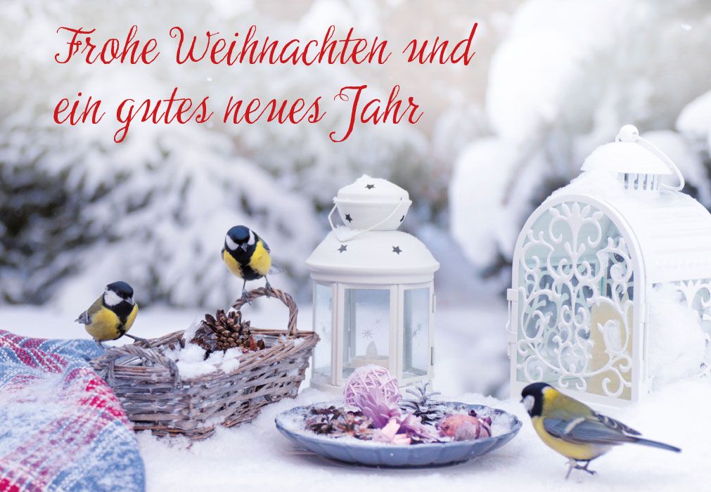 Faltkarte Frohe Weihnachten (Blaumeisen)