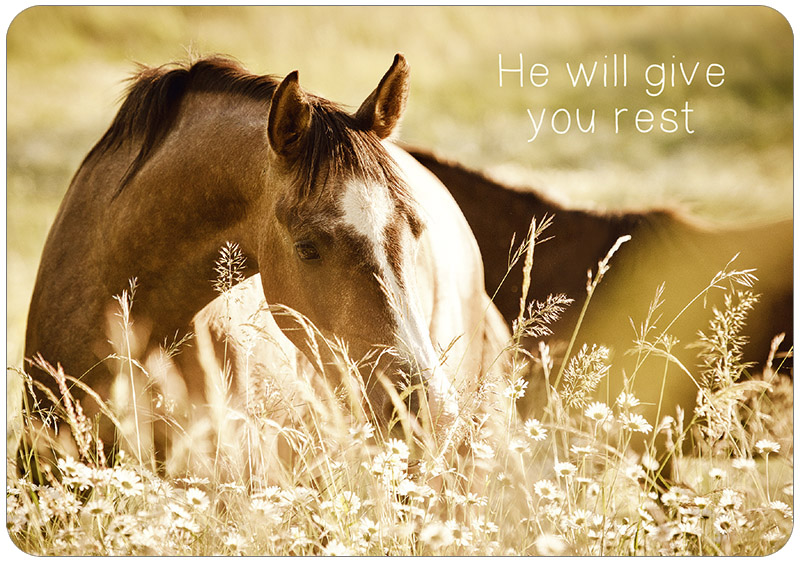 Postkarte He will give you rest