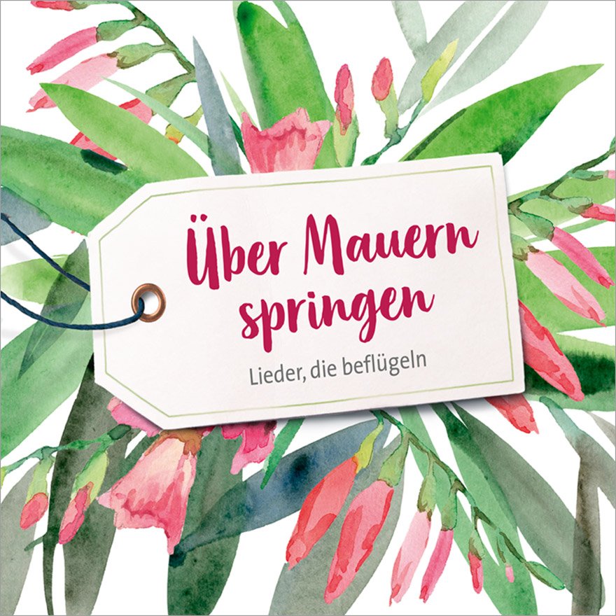 Über Mauern springen (CD)