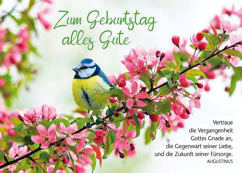 Postkarte Zum Geburtstag alles Gute