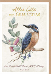 Faltkarte Alles Gute zum Geburtstag - Eisvogel