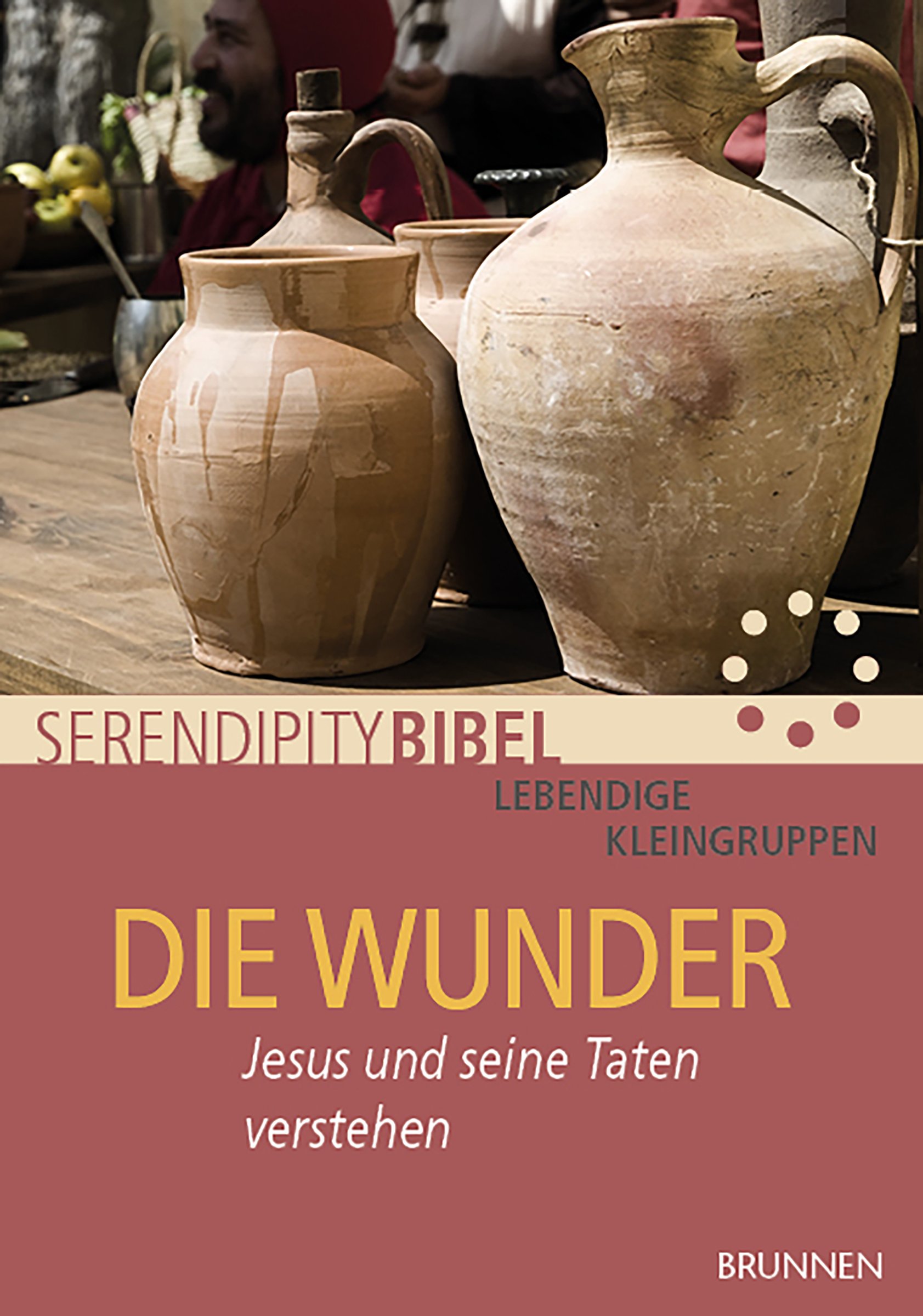 Die Wunder (Serendipity Bibel)
