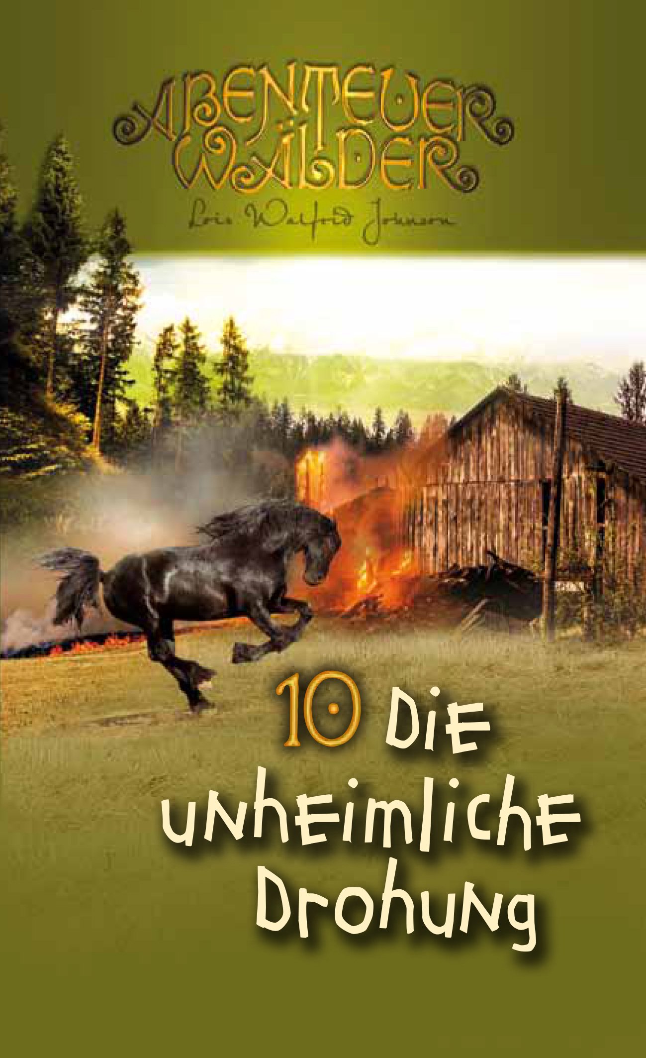 Abenteuerwälder 10 - Die unheimliche Drohung