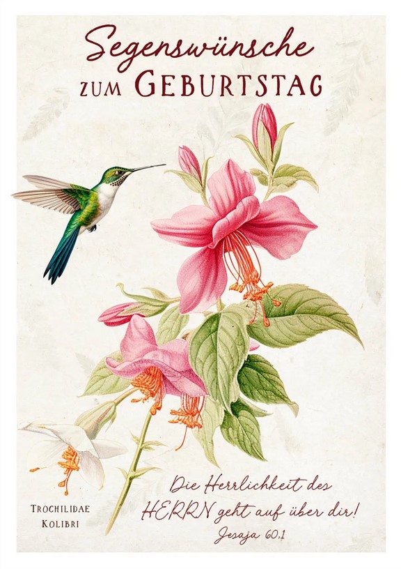 Postkarte Segenswünsche zum Geburtstag (Kolibri)