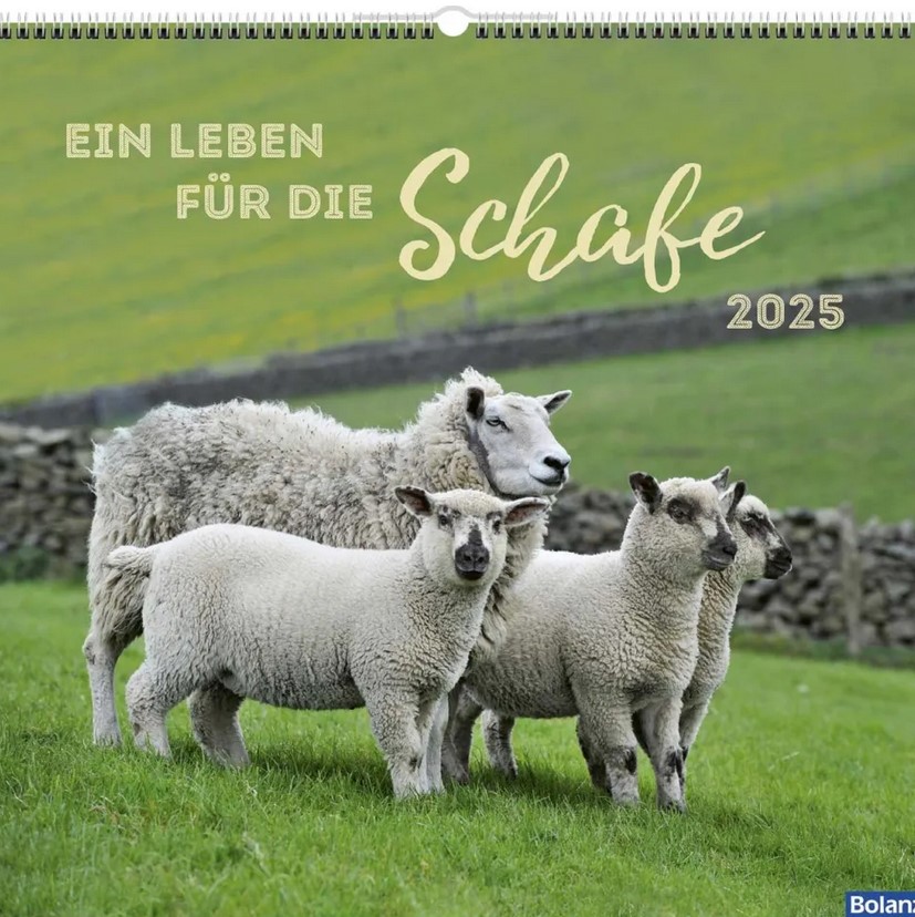 Ein Leben für die Schafe 2025 - Wandkalender