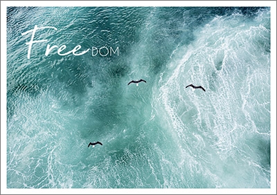 Postkarte Freedom