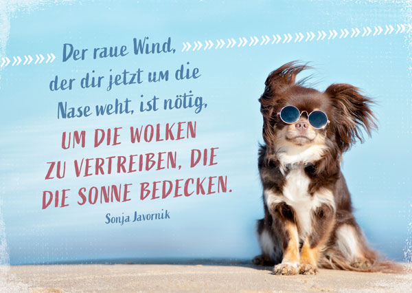 Postkarte Der raue Wind