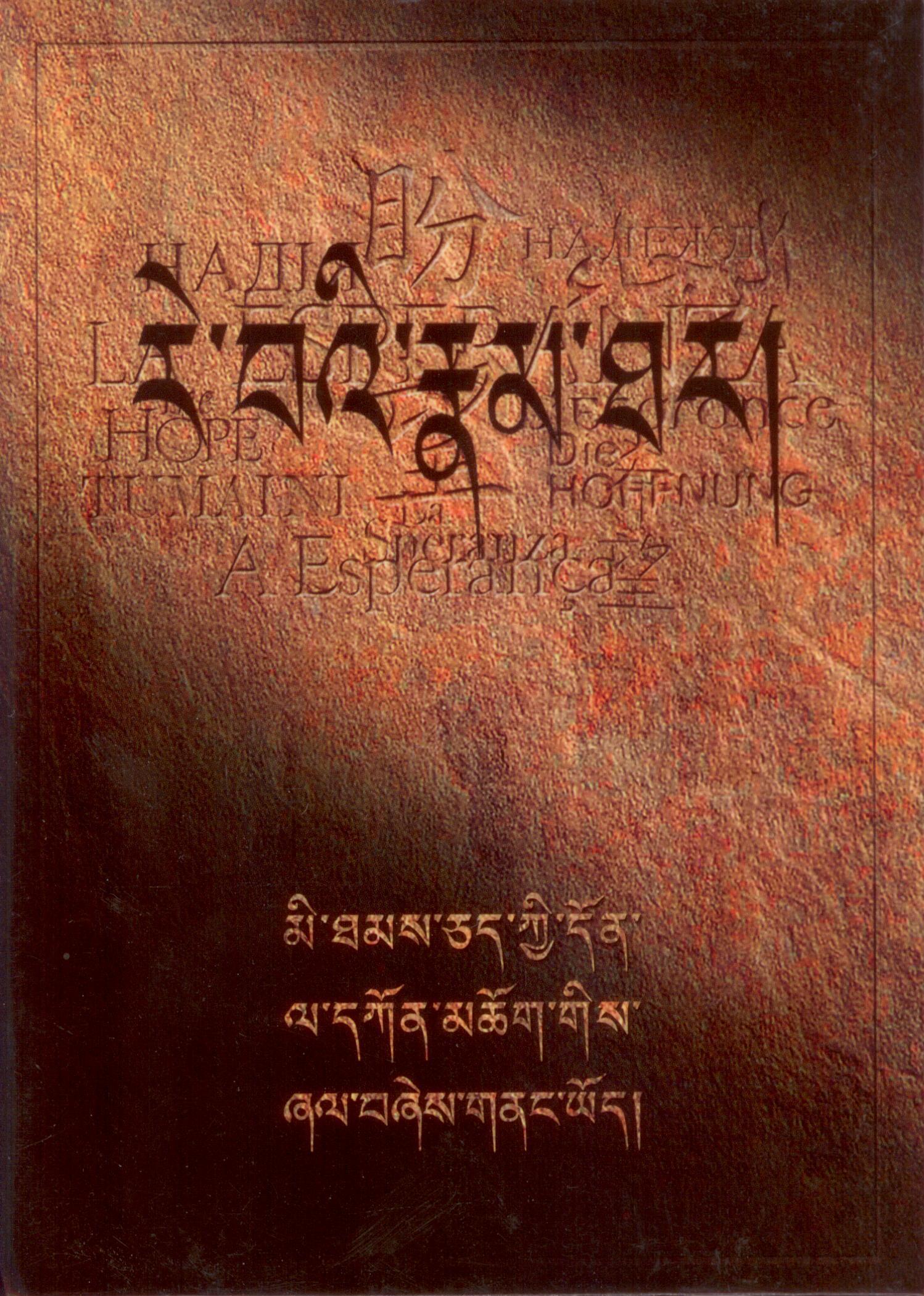 DVD Die Hoffnung tibetisch